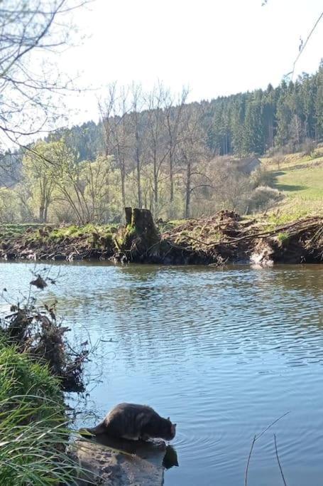 Ferienglueck Im Schwarzwald Lejlighed Zimmern ob Rottweil Eksteriør billede