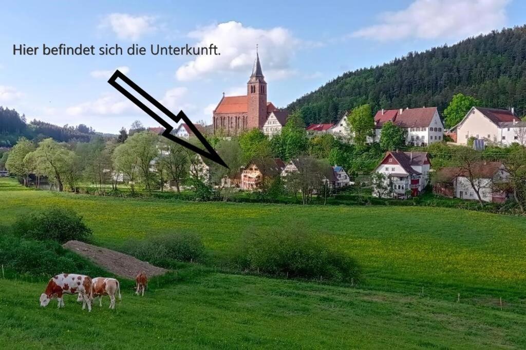 Ferienglueck Im Schwarzwald Lejlighed Zimmern ob Rottweil Eksteriør billede
